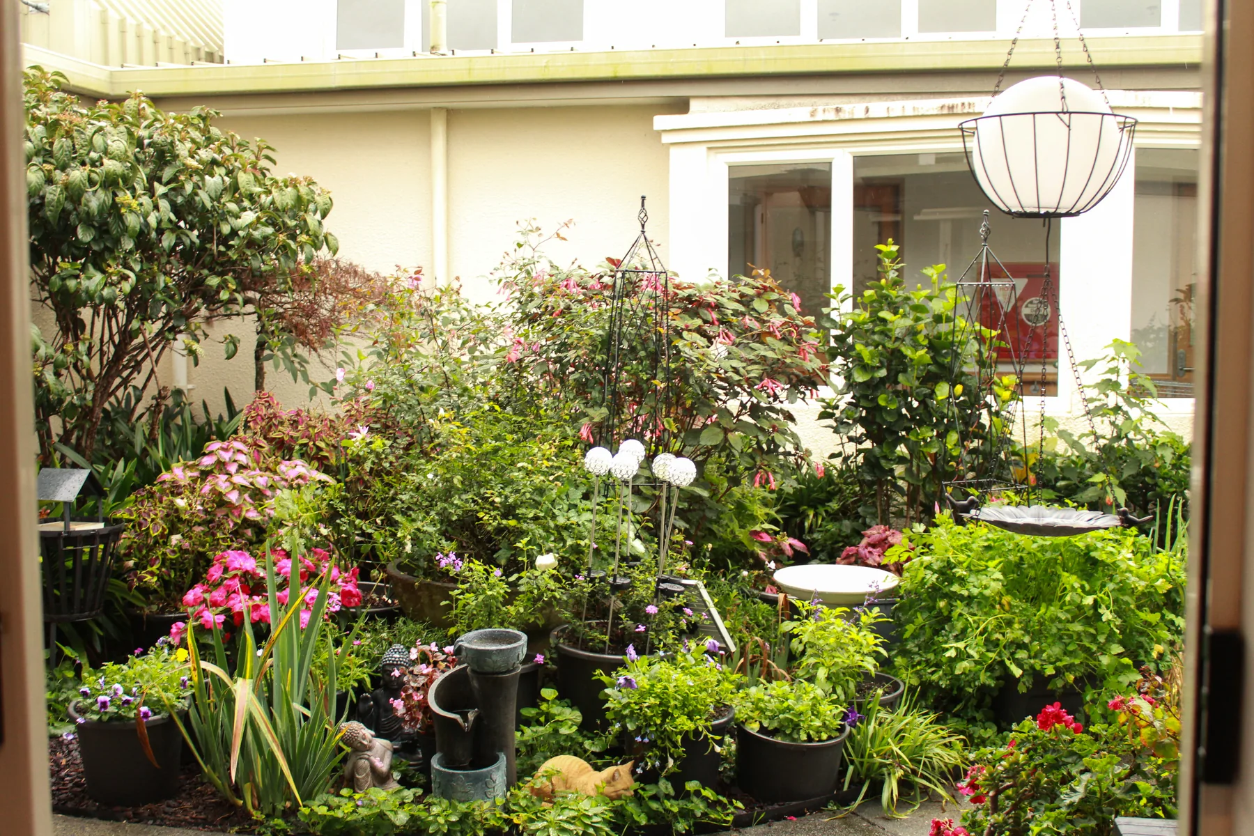 A resident's courtyard garden outside a pavilion studio, full of pots and flowering plants